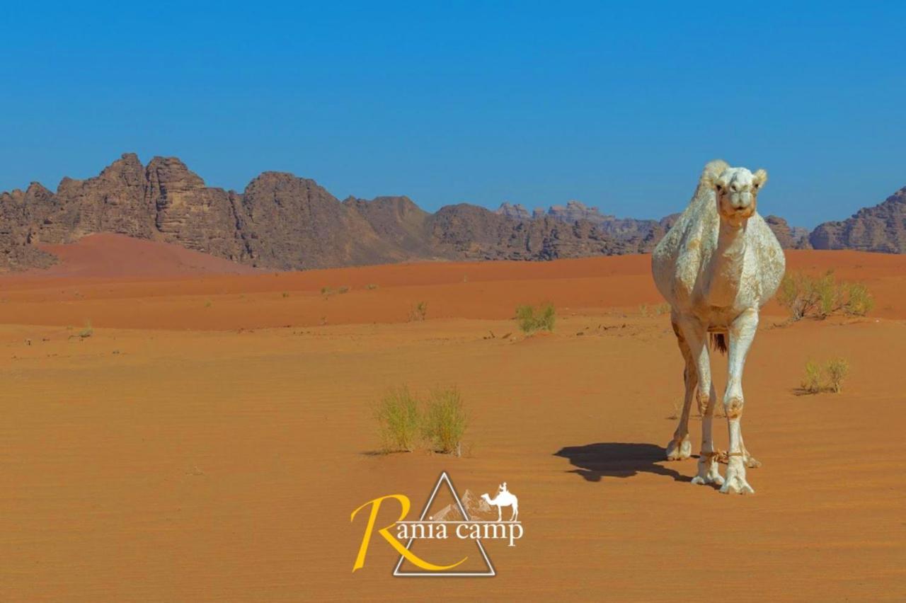 Rania camp Hotel Wadi Rum Exterior foto